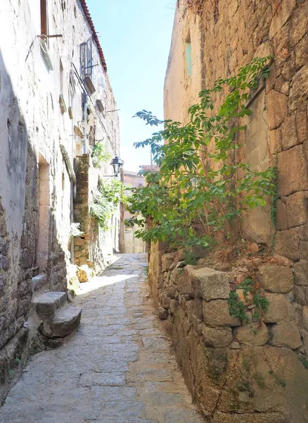 Sartene 'nin cazibelerinden biri, Korsika' da (Güzellik Adası olarak da bilinir) Akdeniz 'in kalbinde yer alan bir kasaba, dar sokaklarıdır: Pencereleri kurumuş çamaşırları ve kaldırımlı merdivenleri olan taş evler