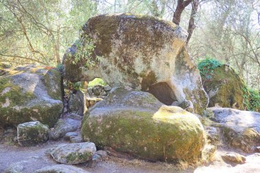 Menhir heykellerinin güzelliği nedeniyle Filitosa şüphesiz ki Korsika tarihinin en önemli yeridir. Menhir heykelleri Akdeniz 'deki en görkemli ve başarılı megalitizm tezahürlerinden biridir.