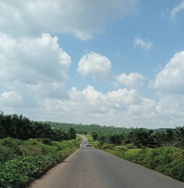 indonesia green photo 2023