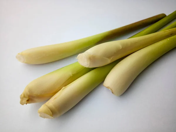 Beyaz arkaplanda izole edilmiş limon otu