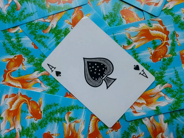 Deck of playing cards for family leisure activity
