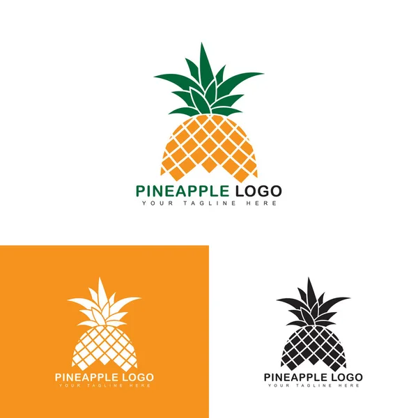 Illustration Vectorielle Logo Ananas Créatif — Image vectorielle