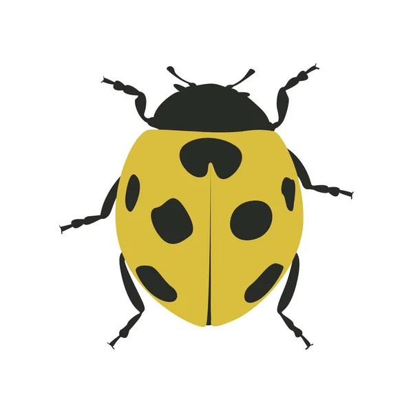 Cartoon Style Ladybug Design Creative Concept Vector — Stock Vector
