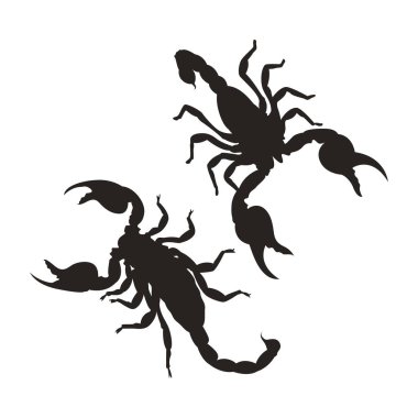 Scorpion silueti yaratıcı tasarım. Vektör çizimi. Ayarla