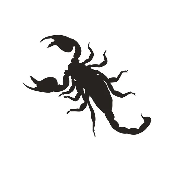 Skorpion Silhouette Vektor Illustration — Stockvektor