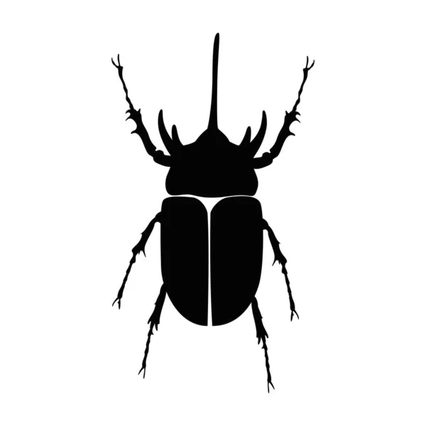 Hoornkever Silhouet Vliegende Insecten Vector Illustratie — Stockvector