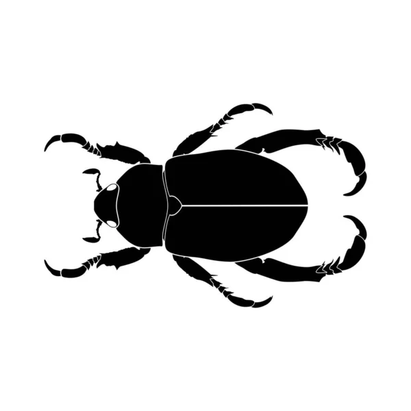 Hoornkever Silhouet Vliegende Insecten Vector — Stockvector