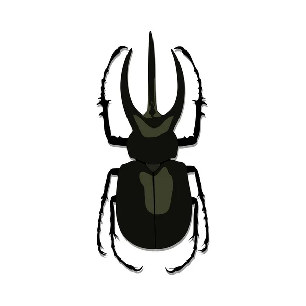 Horn Beetle Silhouette Vector Flying Insects — Stock Vector