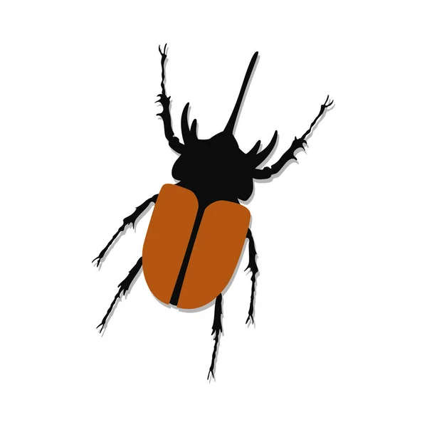 Horn Käfer Vektordesign Insektenillustration — Stockvektor
