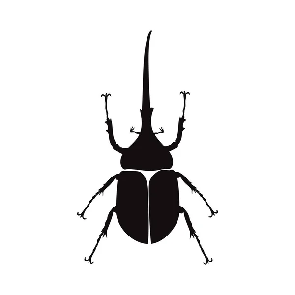 Horn Kever Silhouet Vector Vliegende Insecten Wilde Dieren — Stockvector
