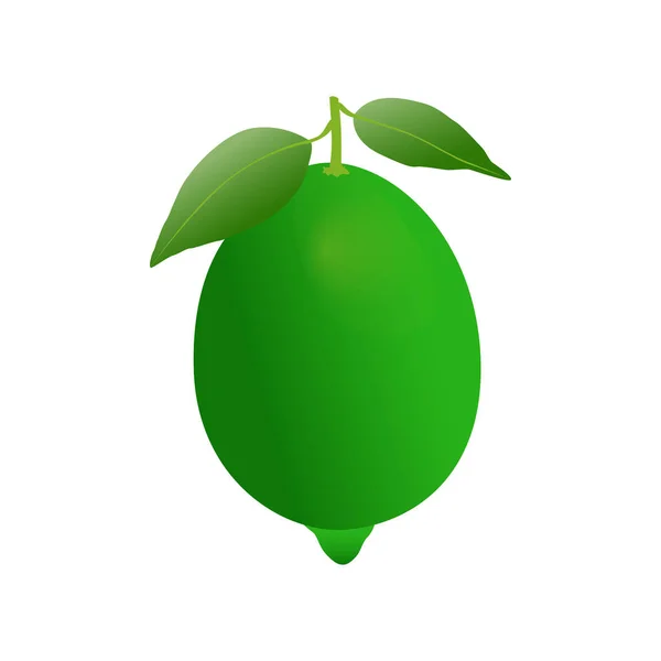 Zelený Citrónový Vektor Design Čerstvého Ovoce — Stockový vektor