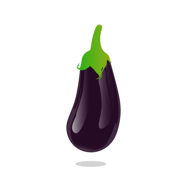 Vektorová Ilustrace Lilku Čerstvá Zelenina Zralé Ovoce Symbol Ikona Lilku — Stockový vektor