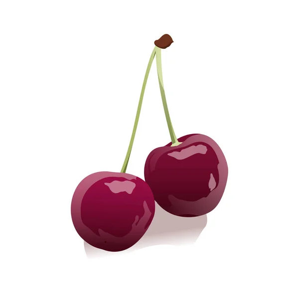 Cherries Fruit Design Vector Illustration — Stock Vector