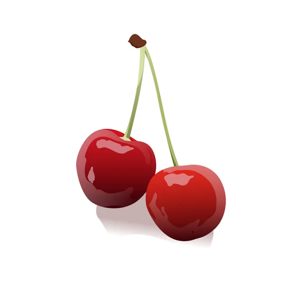Cherries Vector Illustration Delicious Cherries Vitamins Design — Stock Vector