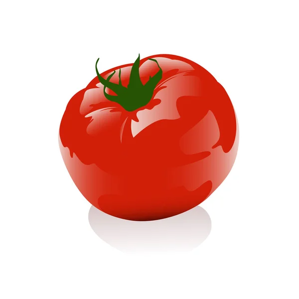 Illustration Vectorielle Tomate Isolée Sur Fond Blanc — Image vectorielle