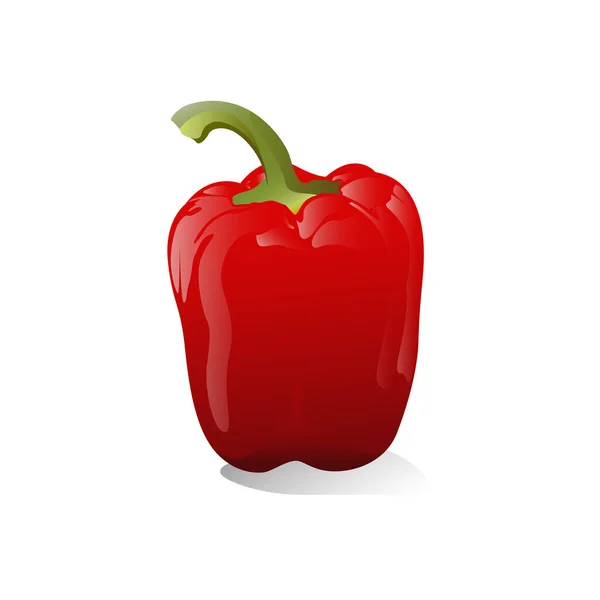 Vektorová Ilustrace Pepper Čerstvá Zelenina Izolováno Bílém Pozadí — Stockový vektor