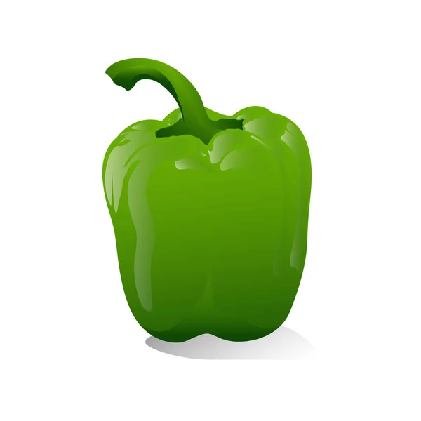 Зелений Перець Векторні Ілюстрації Свіжий Овоч Ізольовані Білому Тлі — стоковий вектор
