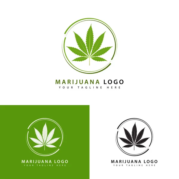 Nowoczesne Logo Marihuany Wektor Ilustracja — Wektor stockowy
