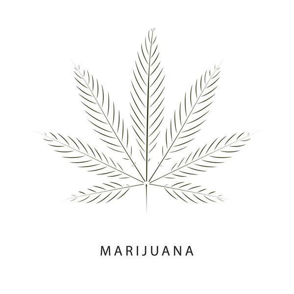 Hoja Cannabis Con Arte Línea Ilustración Vectorial — Archivo Imágenes Vectoriales