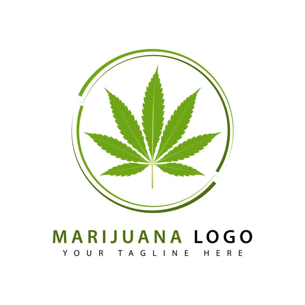 Modelo Logotipo Cannabis Moderna Design Criativo — Vetor de Stock