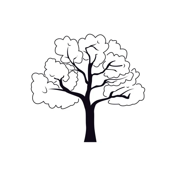 Linienkunstbaum Vektor Dünnes Zeichen Für Gartenpflanze — Stockvektor