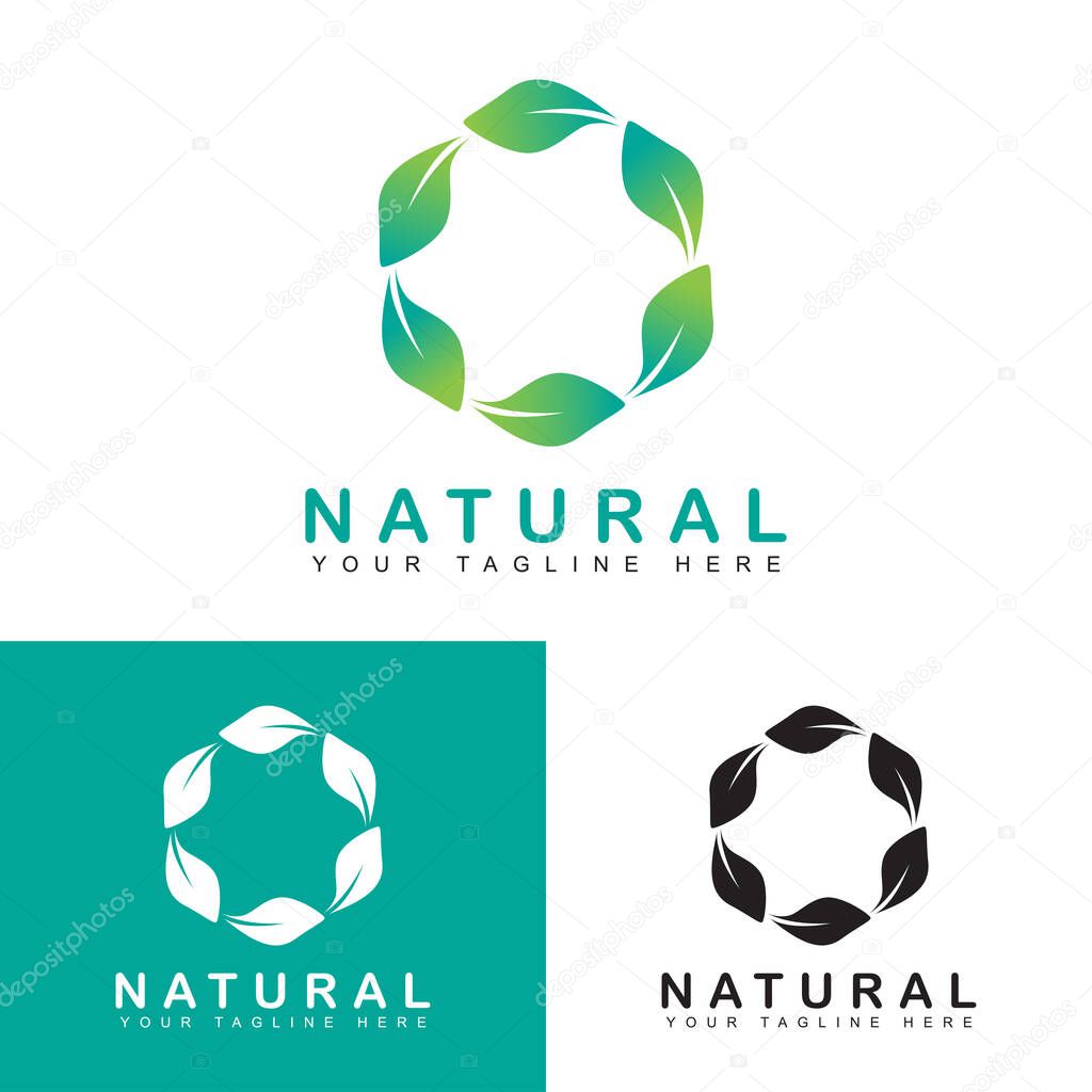 Green leaf Logo vector design template. Square infinity sign.