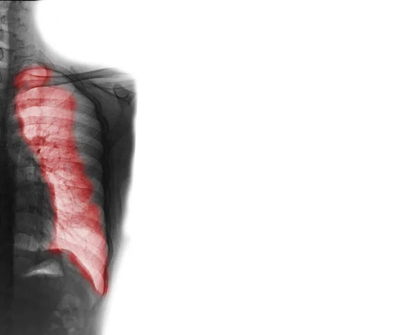 Anatomie Visage Humain Concept Médical Fond Abstrait Rendu — Photo