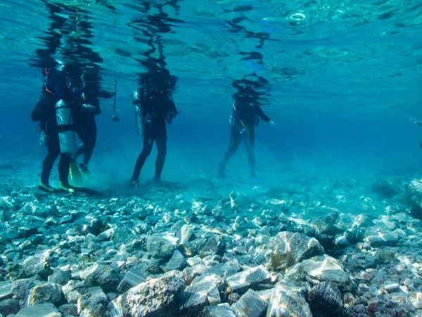 Stock image Briefing before diving in Aqaba, Red Sea