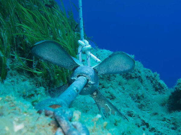 Katlanan vinç çapası Kıbrıs 'ta su altında fotoğraflandı