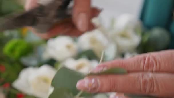 Närbild Kaukasisk Dam Florist Förbereda Samlar Vackra Blomsterarrangemang Små Företag — Stockvideo