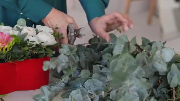 Närbild Vit Florist Sätta Ihop Vacker Blomsterarrangemang Kvinna Skära Eukalyptus — Stockvideo