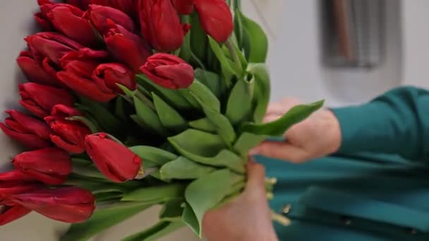 Close Een Vrouw Sorteert Rode Tulpen Een Groot Weelderig Boeket — Stockvideo