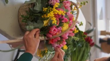 Yakın plan: beyaz kadın güzel çiçek sepeti topluyor. Profesyonel biri mimoza ve lale ile çiçek düzenler. Kadın çiçekleri keser ve çiçek aranjmanına koyar. Dikey video.