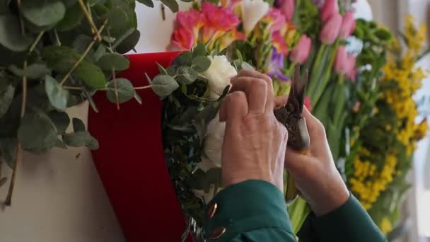 Detailní Záběr Běloška Dáma Květinářství Připravit Sbírá Krásné Květinové Aranžmá — Stock video