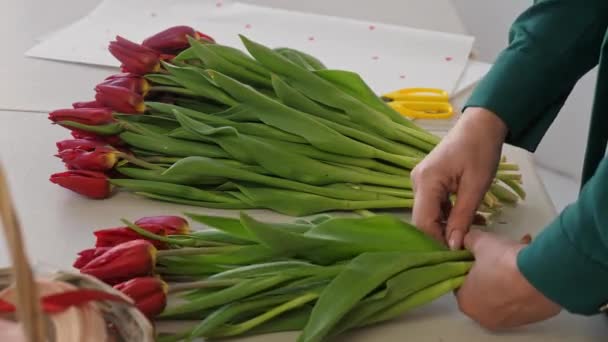 Close Kvinde Sorterer Røde Tulipaner Til Lave Stor Frodig Buket – Stock-video