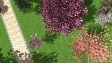 Modern peyzaj mimarisinin 3 boyutlu çizimi. Peyzaj tasarımının arkaplan bilgisayarı. Farklı çim yüzeylerinin düz çizgilerle karşıt bileşimi.