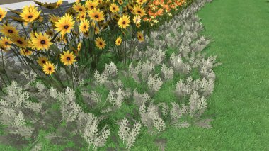 Modern peyzaj mimarisinin 3 boyutlu çizimi. Peyzaj tasarımının arkaplan bilgisayarı. Farklı çim yüzeylerinin düz çizgilerle karşıt bileşimi.