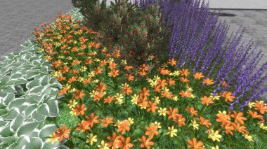 Modern peyzaj mimarisinin 3 boyutlu çizimi. Peyzaj tasarımının arkaplan bilgisayarı. Farklı çim yüzeylerinin düz çizgilerle karşıt bileşimi.