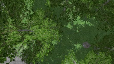 Modern peyzaj mimarisinin 3 boyutlu çizimi. Peyzaj tasarımının arkaplan bilgisayarı. Farklı çim yüzeylerinin düz çizgilerle karşıt bileşimi.