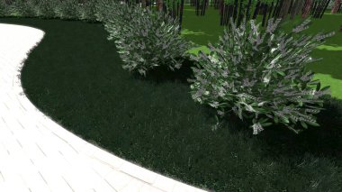 Modern peyzaj mimarisinin 3 boyutlu çizimi. Peyzaj tasarımının arkaplan bilgisayarı. Farklı çim yüzeylerinin düz çizgilerle karşıt bileşimi.