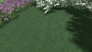 Modern peyzaj mimarisinin 3 boyutlu çizimi. Peyzaj tasarımının arkaplan bilgisayarı. Farklı çim yüzeylerinin düz çizgilerle karşıt bileşimi.