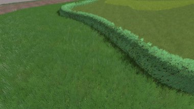 Modern peyzaj mimarisinin 3 boyutlu çizimi. Peyzaj tasarımının arkaplan bilgisayarı. Farklı çim yüzeylerinin düz çizgilerle karşıt bileşimi.