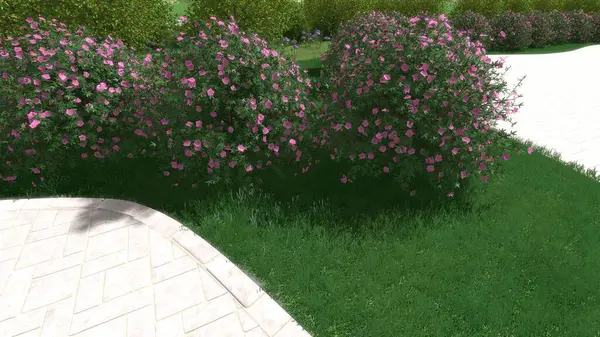 Modern peyzaj mimarisinin 3 boyutlu çizimi. Peyzaj tasarımının arkaplan bilgisayarı. Farklı çim yüzeylerinin düz çizgilerle karşıt bileşimi.