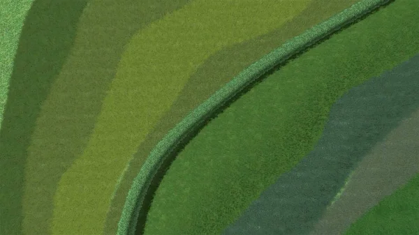 现代景观设计的三维图解 景观设计的背景计算机绘制 平整线中不同草坪表面的对比组成 — 图库照片