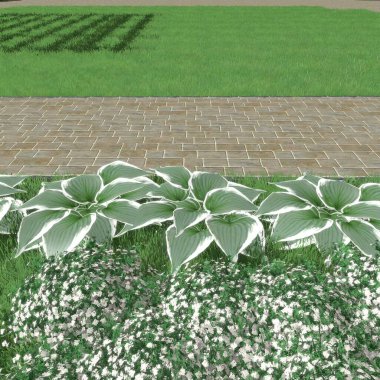 Park alanının 3D peyzaj tasarımı. Bölgenin peyzaj planlaması. Kentsel alanların geliştirilmesi için bileşik çözümlerin bilgisayar görselleştirmesi.