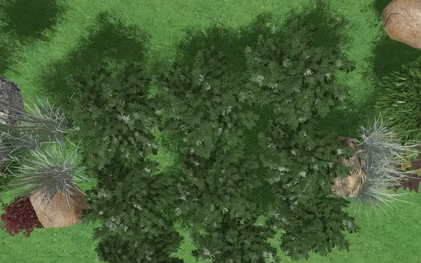 Park alanının 3D peyzaj tasarımı. Bölgenin peyzaj planlaması. Kentsel alanların geliştirilmesi için bileşik çözümlerin bilgisayar görselleştirmesi.