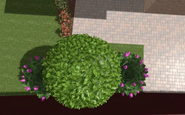 Park alanının 3D peyzaj tasarımı. Bölgenin peyzaj planlaması. Kentsel alanların geliştirilmesi için bileşik çözümlerin bilgisayar görselleştirmesi.