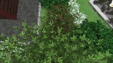 Memleketin peyzaj tasarımının 3 boyutlu görüntüsü. Bölgenin peyzajı. Birleşik peyzaj ve peyzaj çözümlerinin bilgisayar görselleştirmesi.