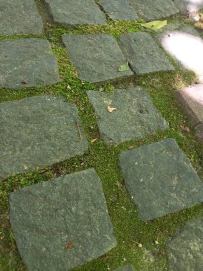 Eski taş zemin dokusu