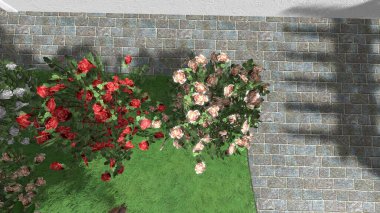 Memleketin peyzaj tasarımının 3 boyutlu görüntüsü. Bölgenin peyzajı. Birleşik peyzaj ve peyzaj çözümlerinin bilgisayar görselleştirmesi.